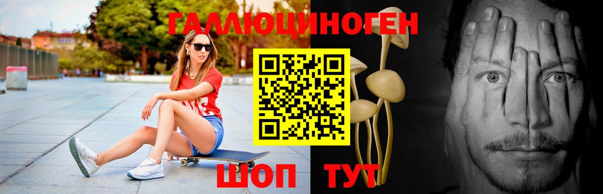 Псилоцибиновые грибы Psilocybe Чебоксары